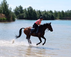 Ontspannen paardrijden door het water